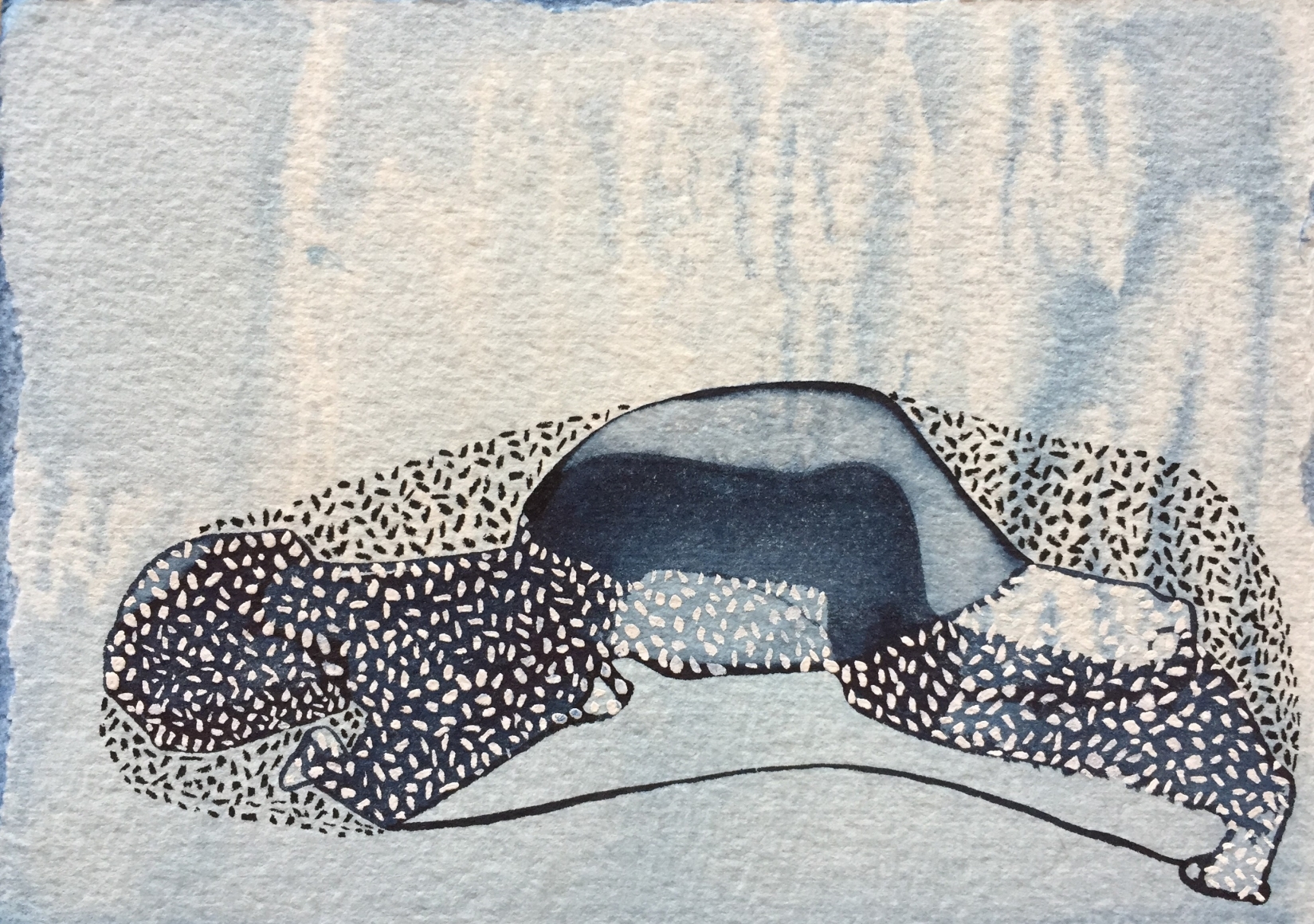 Manisha Parekh Blue Shadows