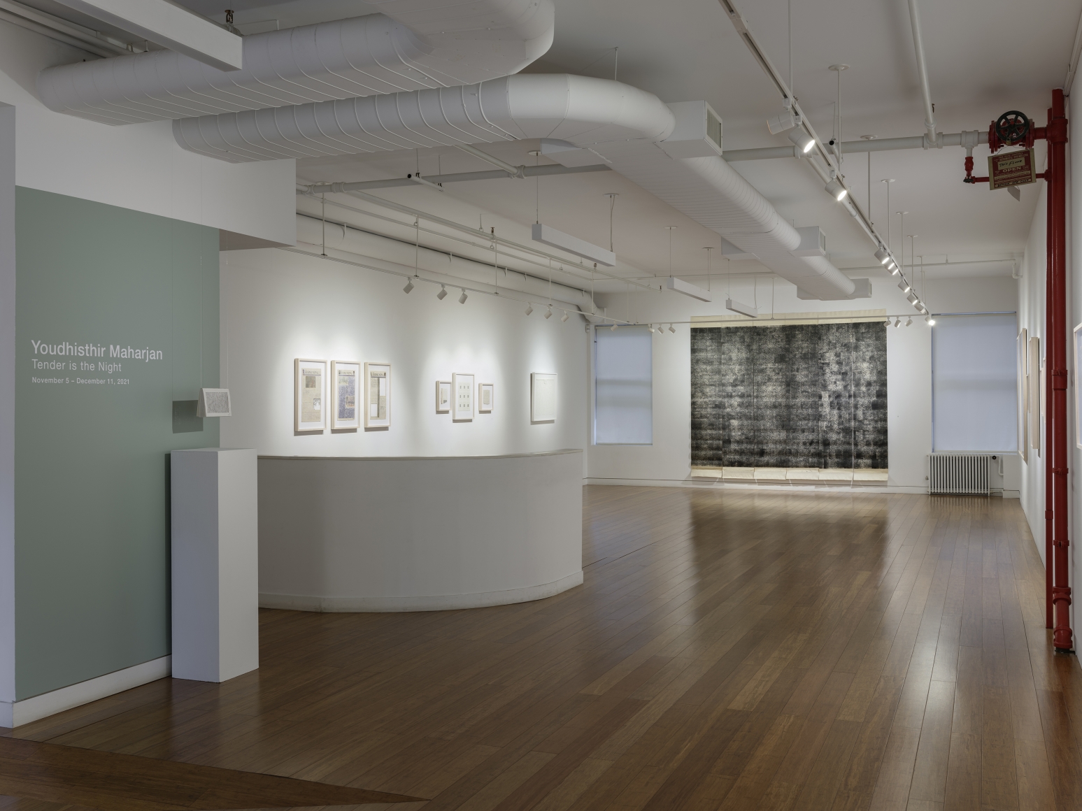 Tender is the Night, Installation View