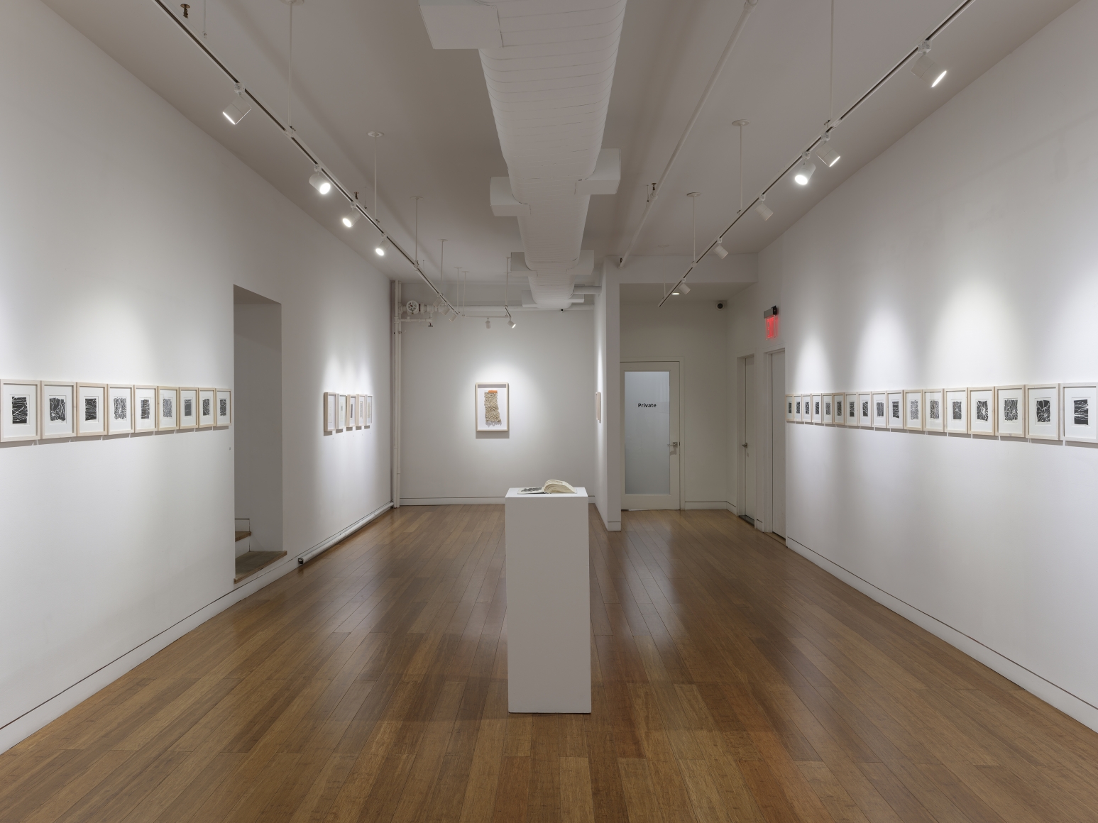 Tender is the Night, Installation View