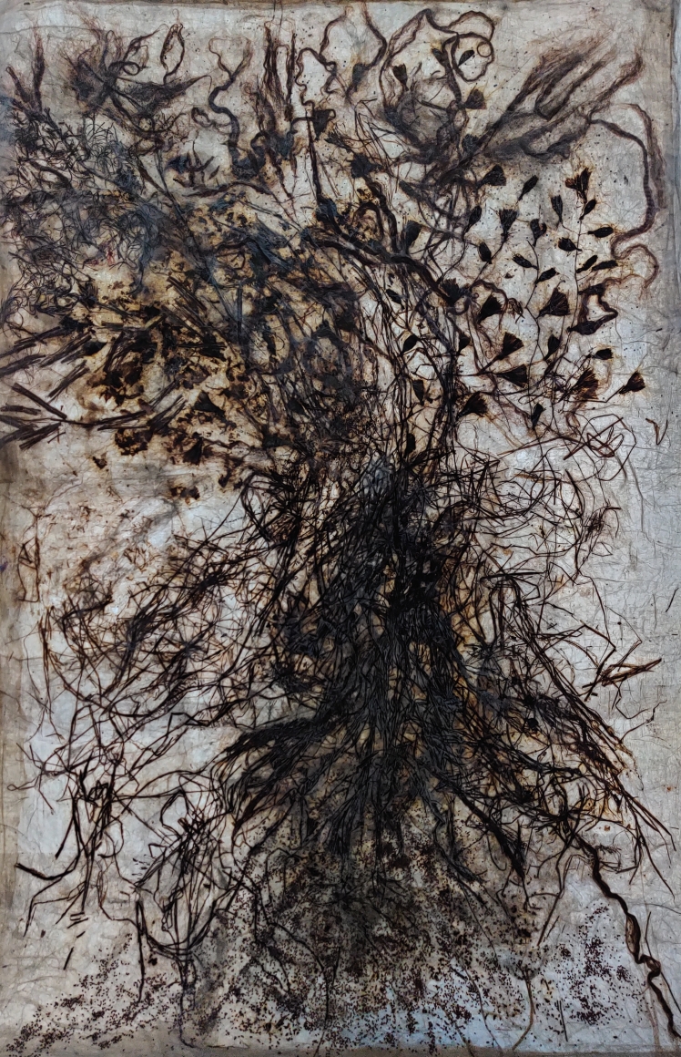 Jayashree Chakravarty Terra firma