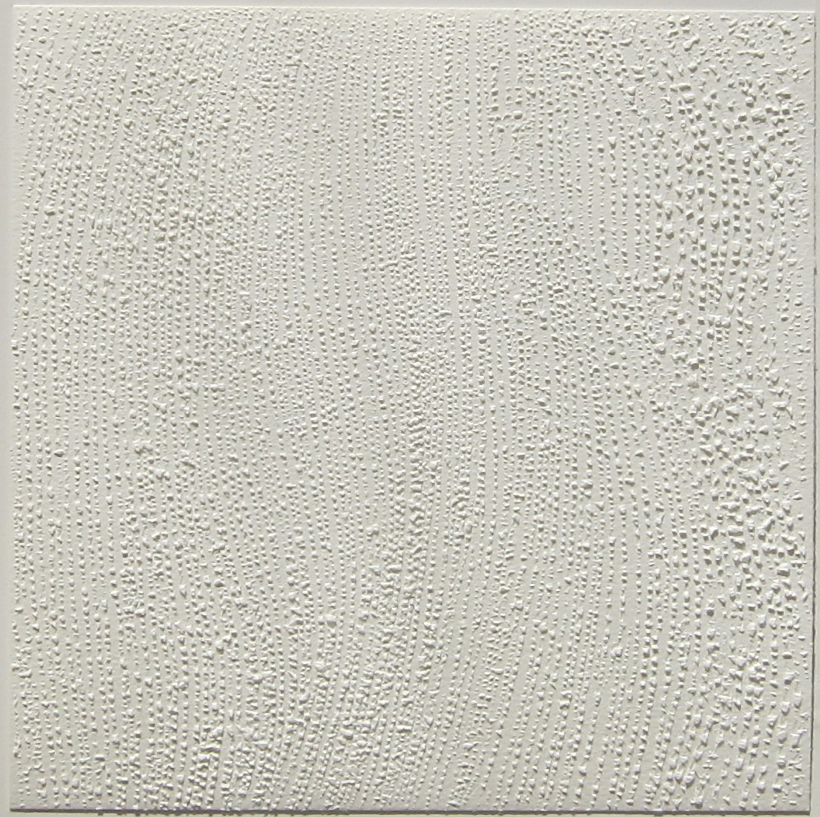 Mohammad Kazem Untitled (White on White 10)