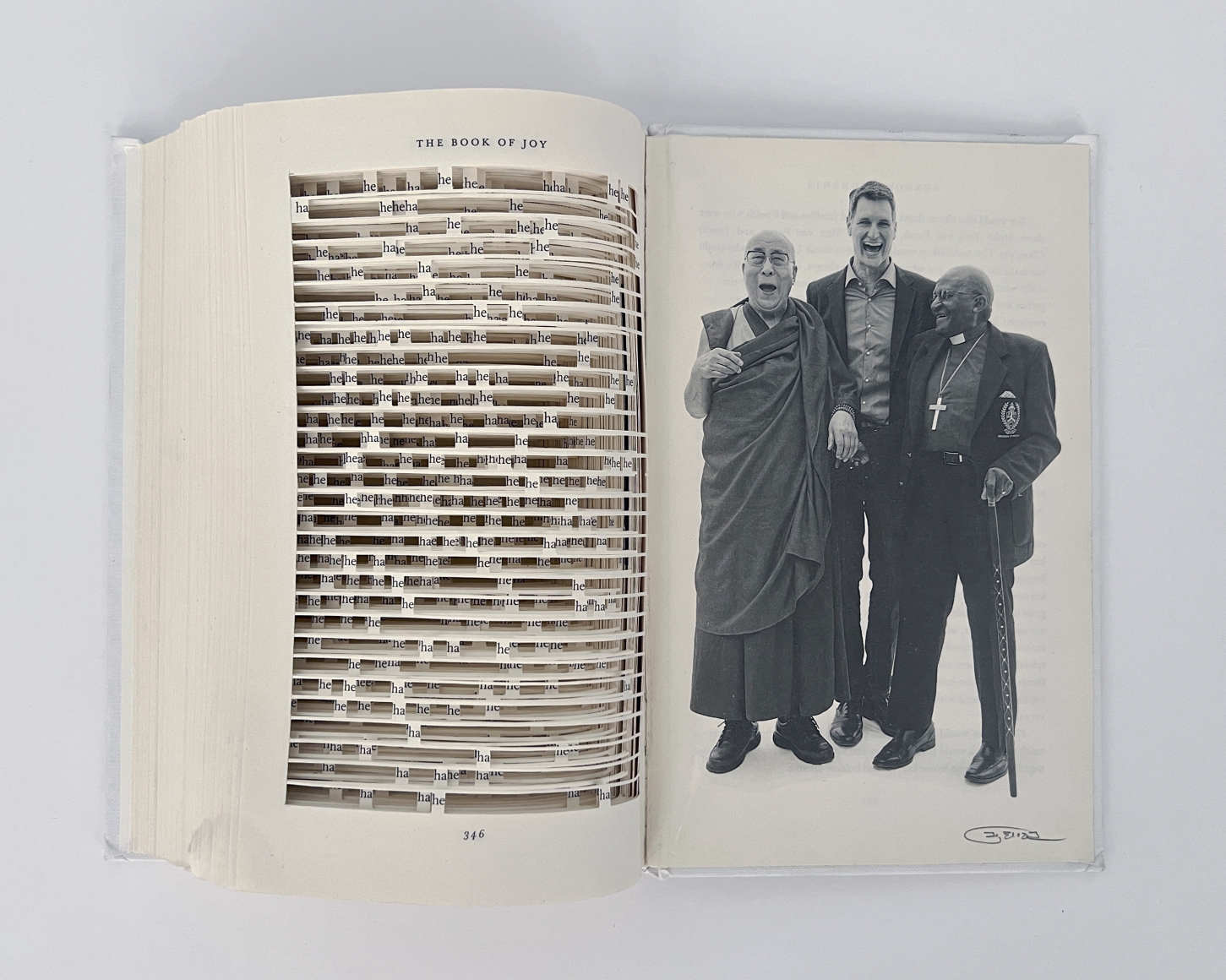 Youdhisthir Maharjan, Book of Joy