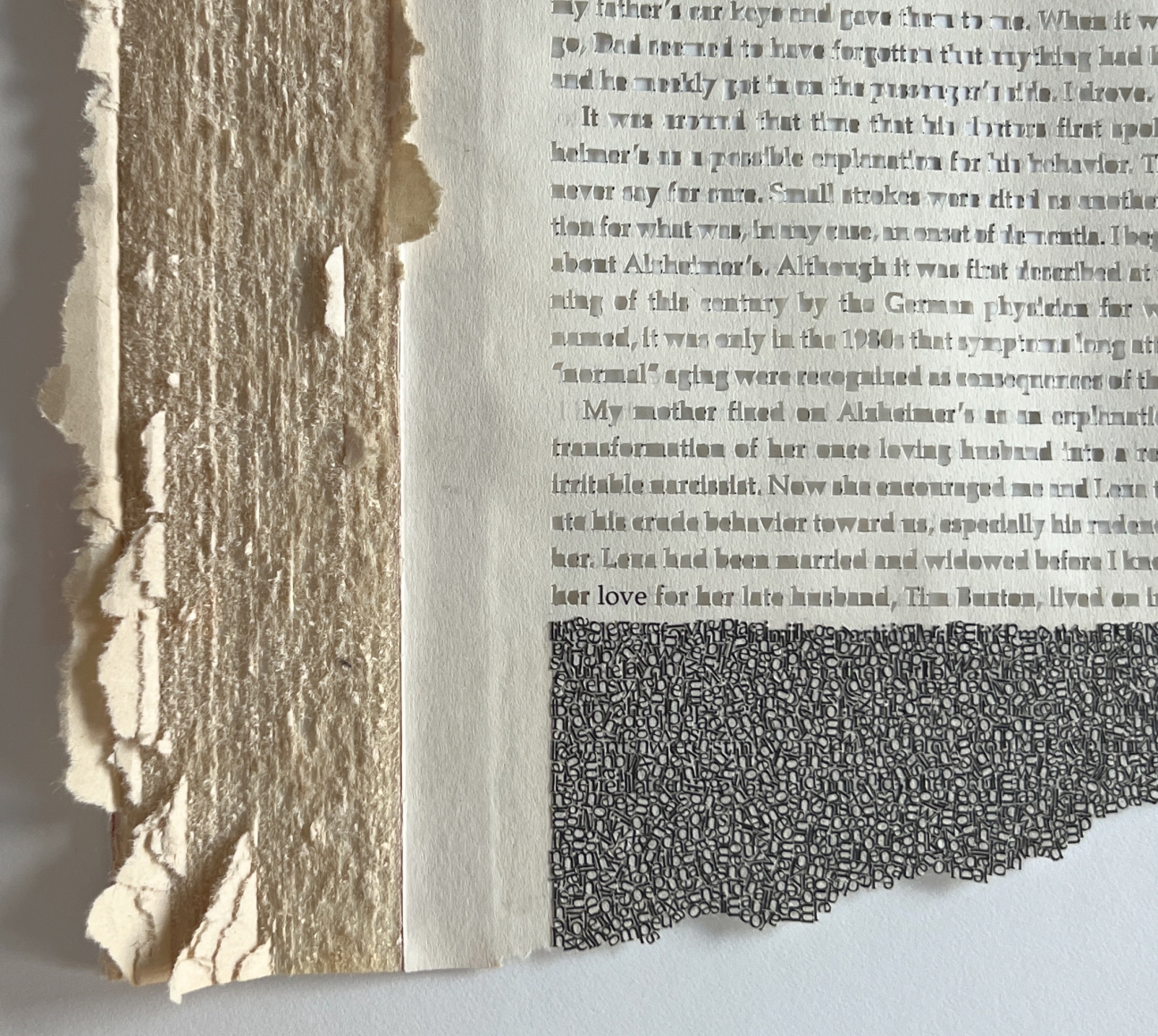 Youdhisthir Maharjan, The Last Word (detail)
