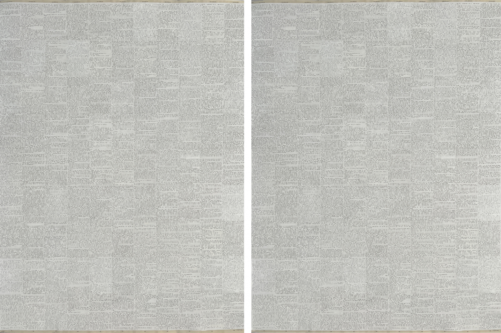 Youdhisthir Maharjan, Life After Life (Diptych)
