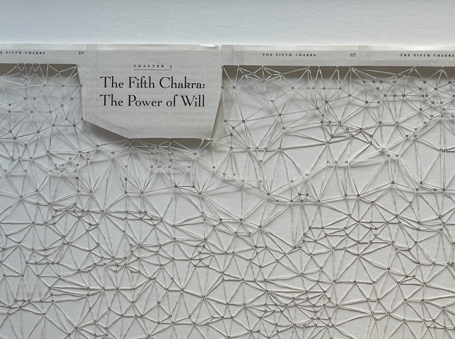 Youdhisthir Maharjan, Power of Will (detail)