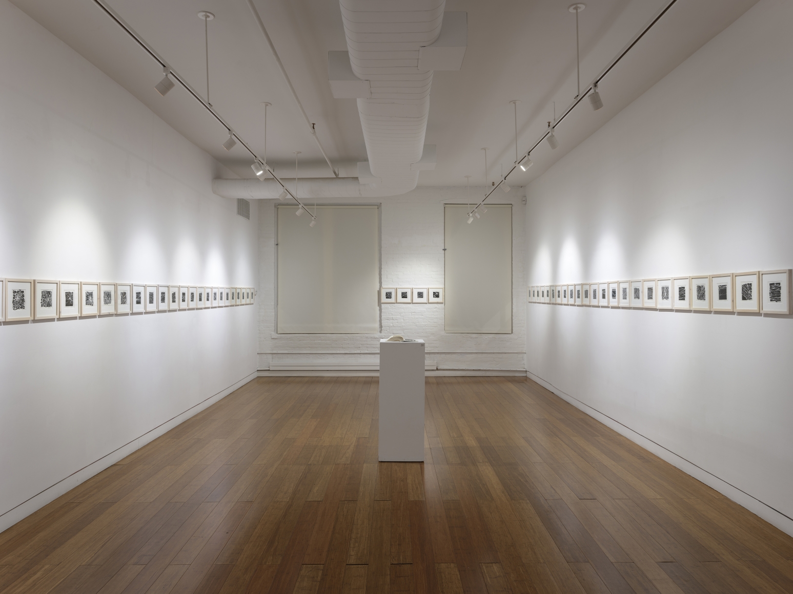 Tender is the Night, Installation View