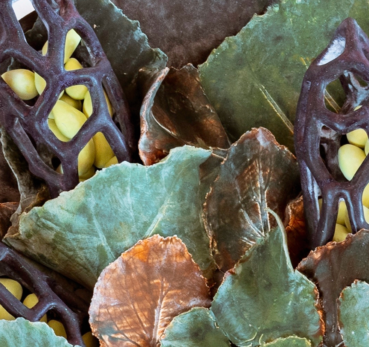 Bradley Sabin Still Life with Elephant Ears and Pods (detail)