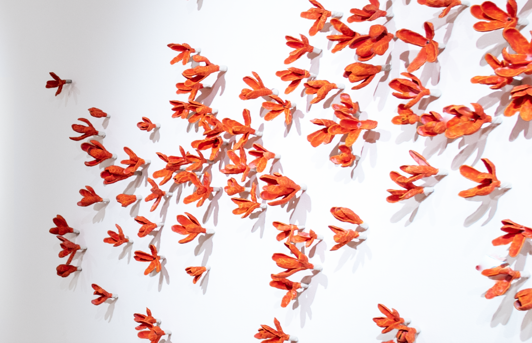 Bradley Sabin Coral Floral Wall, 2020