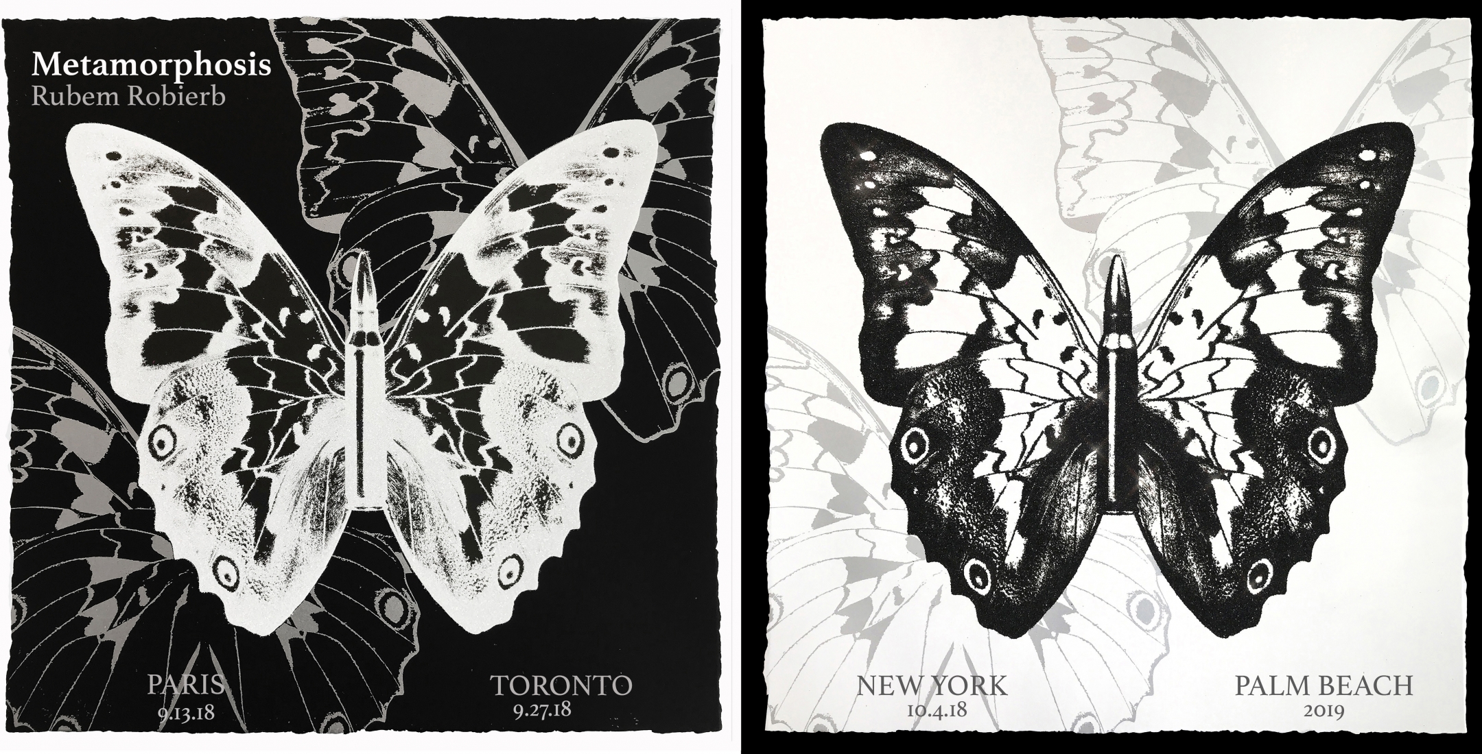 Metamorphosis by Rubem Robierb