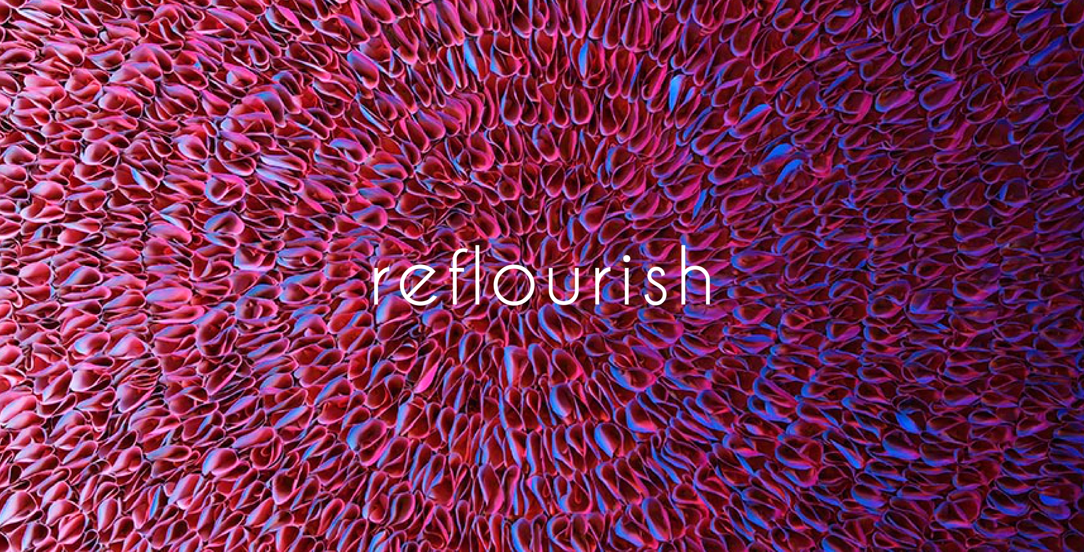 Zhuang Hong Yi | Reflourish