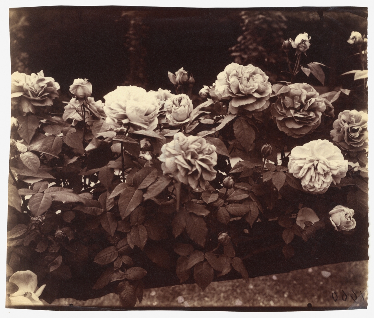 Eugene Atget at Paul M. Hertzmann, Inc.