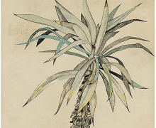 Lucian Freud, Palm Tree, 1942