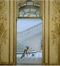 Karen Knorr