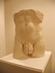 penis în capotă