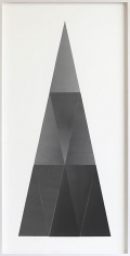  , Untitled Suit, P02, 2012
