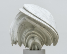 Tony Cragg