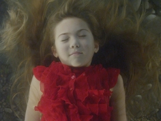 Bill Viola: The Vast
