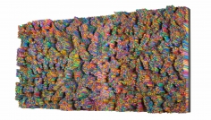 Francesca Pasquali: Plastic Resonance