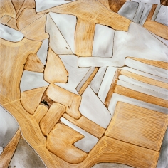 David Maisel