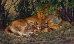 A Mother's Wish - Long May He Reign, 2013