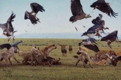 Game of Lions, 2014