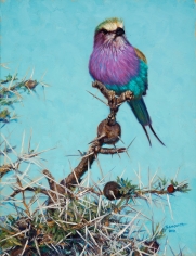 Above the Thorns, 2016