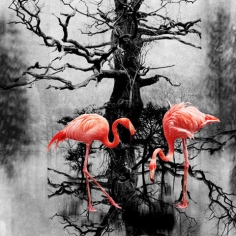 The Burned Garden