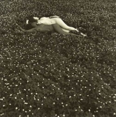 Flor Garduno