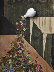 Abelardo Morell: Flowers for Lisa