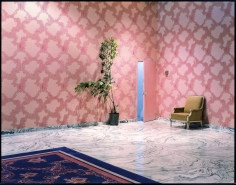 Elliott Erwitt | Kolor