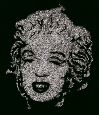 Vik Muniz