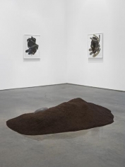 Installation View, 2015. Metro Pictures, New York.