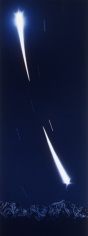 Untitled, 1984. Acrylic on canvas, 96 x 36 inches. MP 126