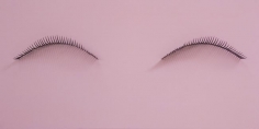 Dream Object (At a party in S.F. with Janet, in an apartment with a sea view, the art kept changing), 2007. Mixed media, Painting: 24 x 48 x 6-1/4 inches, eye lash: 4-1/2 x 14-1/2 inches each. MP# 187