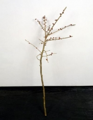 it must give pleasure, 2001