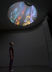 Jennifer Steinkamp Oculus Sinister (left eye)