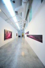 TERESITA FERNÃNDEZ: Nightwriting