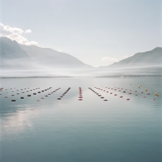 Tim Hall, Fishing in Kotor