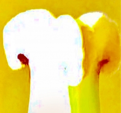Joel Grey, “Heads”, circa 2018