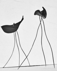 Txema Yeste, Study of Balance, 2019