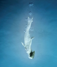 Howard Schatz, Underwater Study 2250, 2003