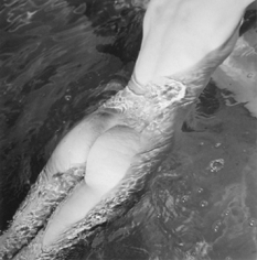 Louise Dahl-Wolfe, Nudes in Pool, circa 1940