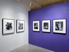 Horst P. Horst / George Hoyningen-Huene, Installation view