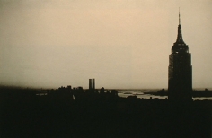 Sheila Metzner, From Life, 2001