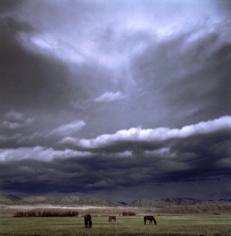 Michael Eastman, Horses, Montana