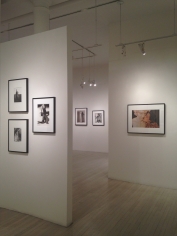 Real and Surreal, Exhibition View