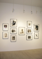 America the Beautiful, Exhibition View