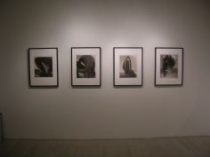 The Nude Interpreted, Exhibition View