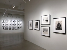 Kurt Markus: A Life in Photography Installation View