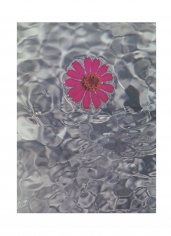 Isabella Ginanneschi, Liquid Bliss 9, 1993